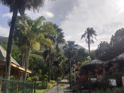 landscape-260923