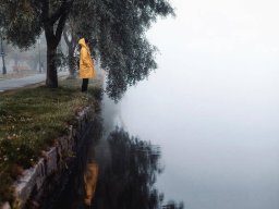 landscape-260923