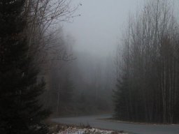 landscape-260923