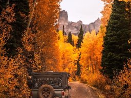 landscape-260923