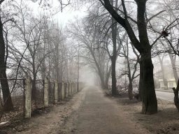 landscape-260923