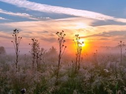 landscape-260923