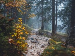 landscape-260923