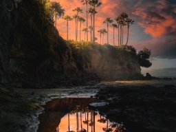 landscape-260923
