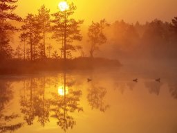 landscape-260923