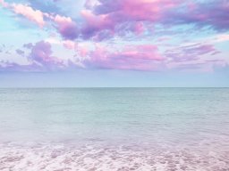 landscape-260923
