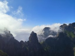 landscape-260923