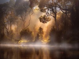 landscape-260923