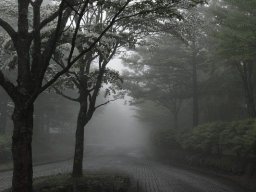 landscape-260923