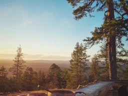 landscape-260923