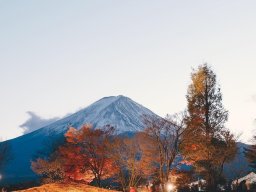 landscape-260923