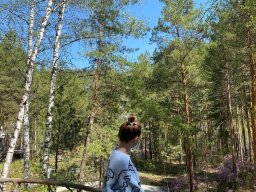 landscape-260923
