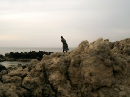 landscape-260923