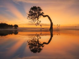 landscape-260923