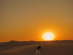landscape-260923