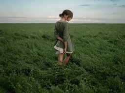 landscape-260923