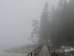 landscape-260923