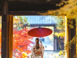 landscape-260923