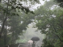 landscape-260923