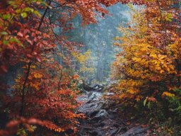 landscape-260923