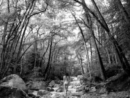 landscape-260923