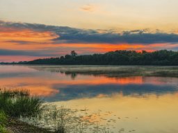 landscape-260923