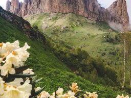 landscape-260923