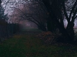 landscape-260923
