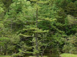 landscape-260923
