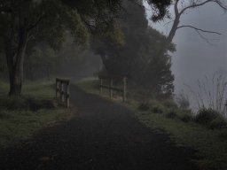 landscape-260923