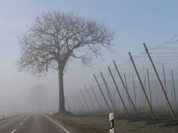 landscape-260923