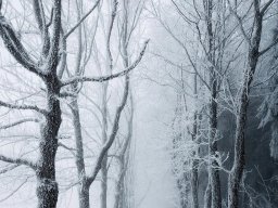 landscape-260923