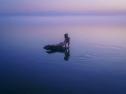 landscape-260923
