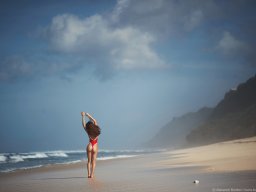 landscape-260923