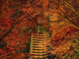 landscape-260923