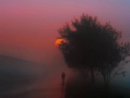landscape-260923