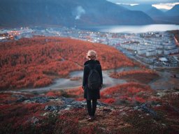 landscape-260923