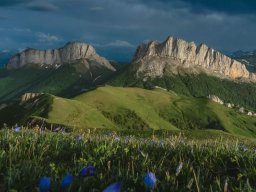 landscape-260923