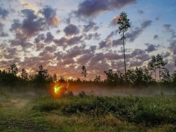 landscape-260923