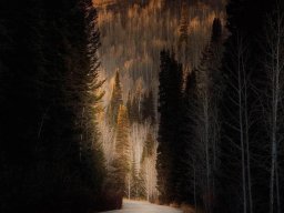landscape-260923