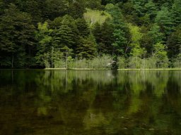 landscape-260923