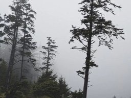 landscape-260923