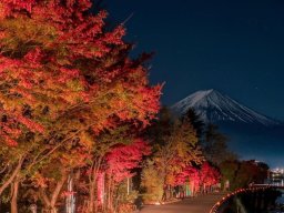 landscape-260923