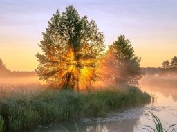 landscape-260923