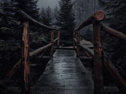 landscape-260923