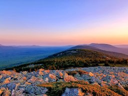 landscape-260923