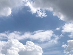 landscape-260923