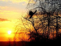 landscape-260923