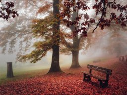 landscape-260923