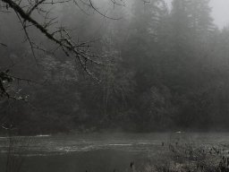 landscape-260923